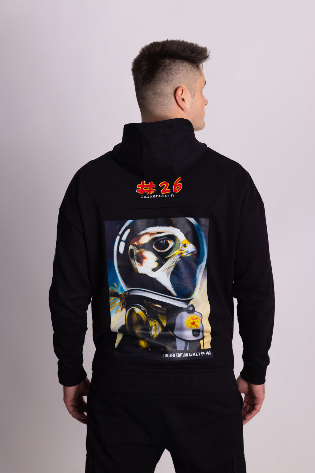 Person, die einen schwarzen Falkenstern-Hoodie mit Falkenmotiv auf dem Rücken vor einem einfarbigen Hintergrund trägt