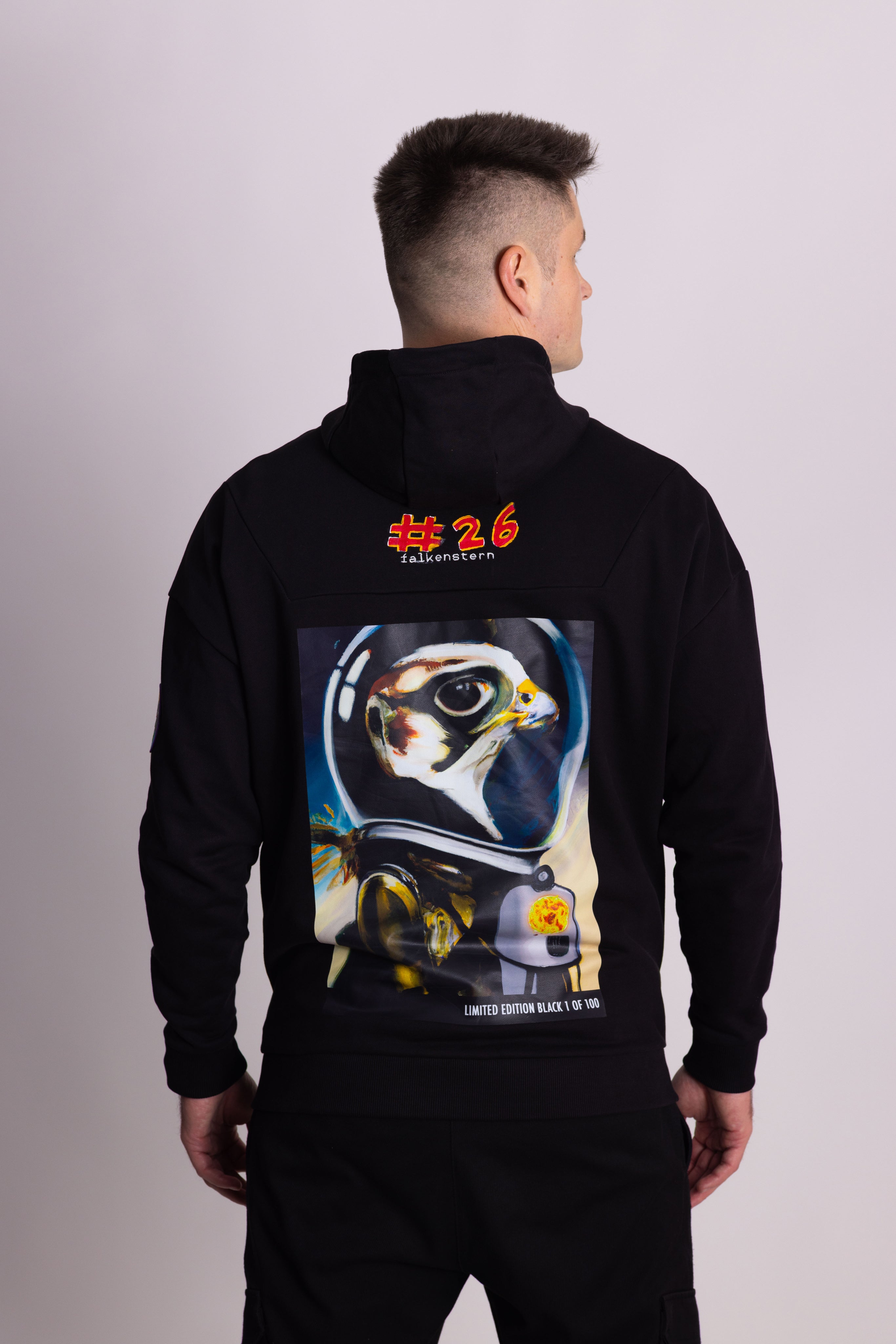 Person, die einen schwarzen Falkenstern-Hoodie mit Falkenmotiv auf dem Rücken vor einem einfarbigen Hintergrund trägt